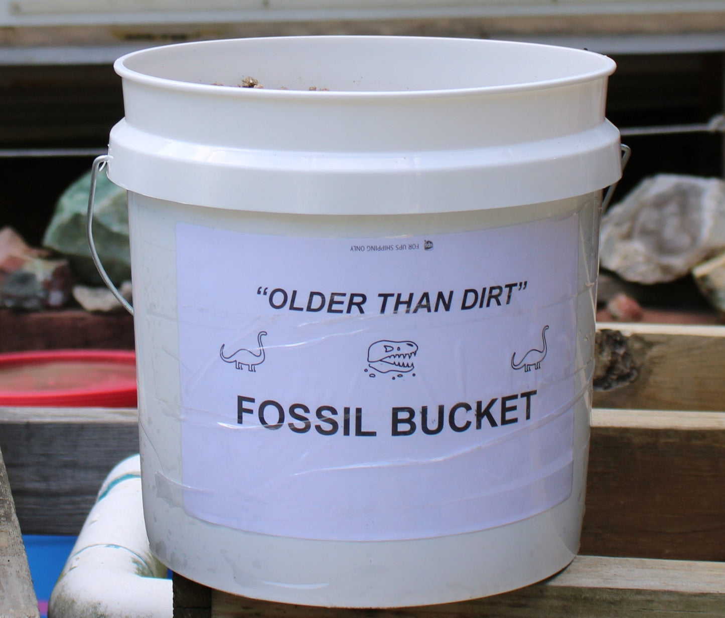 "Older Than Dirt" Fossil Bucket