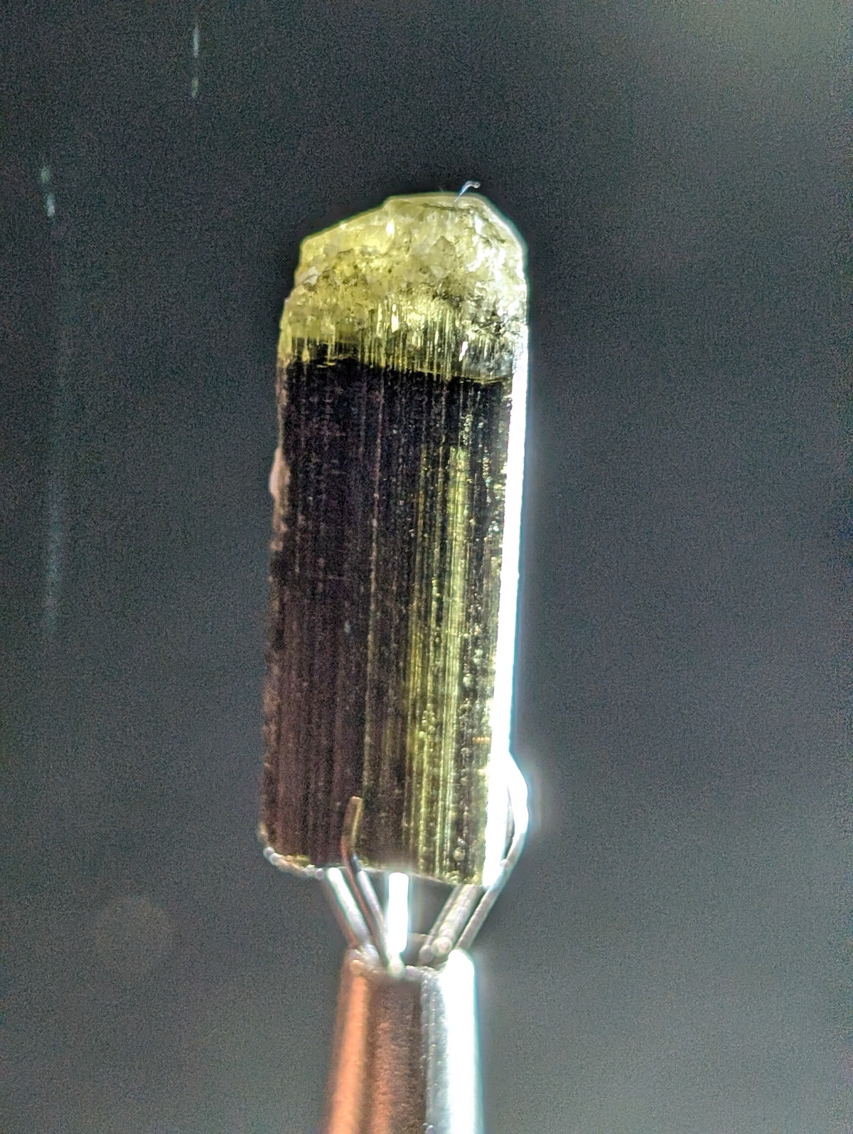 Green Tip Tourmaline 03